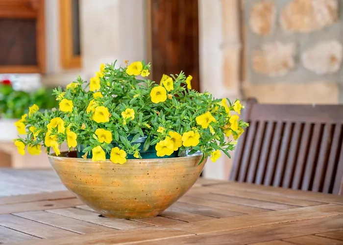 וילה Pou Petit פוינסה