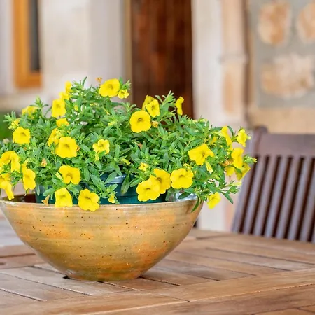 Βίλα Pou Petit Pollença