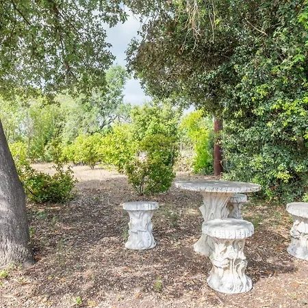 Pou Petit Villa Pollenca