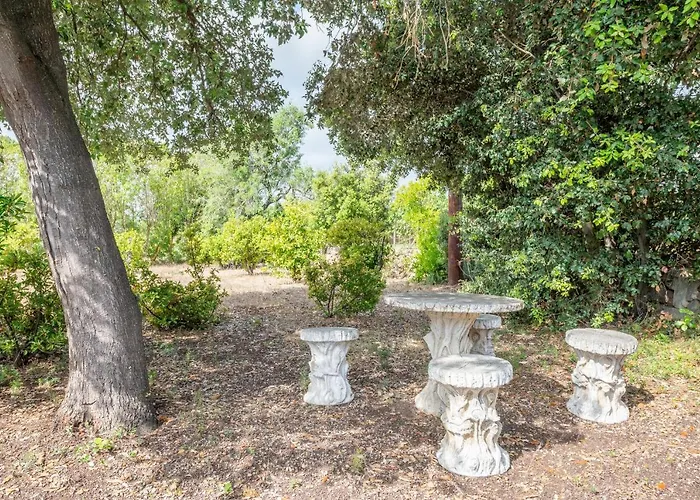 Pou Petit Villa Pollenca